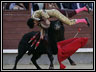 Revenge of the Bulls by Khris Krepcik