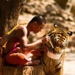 Offer your god like qualities