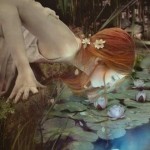 Reflection
