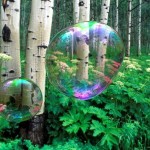 SW_Bubbles of Light