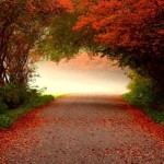 SW_the open road