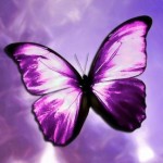 Purple Light