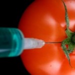 gmotomatoinject