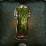 Follow the Rabbit