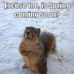 Spring