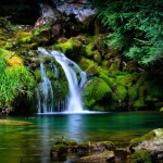 vercors_forest_1920x1080