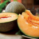 Rock Melon