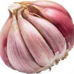 garlic