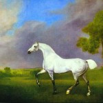 grey_horse