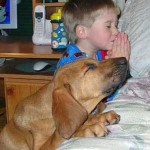 praying_dog_boy