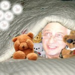 teddy
