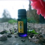 Tolemac Bottle