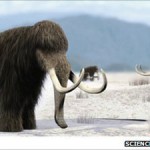 wooly_mammoth