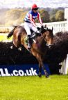 stuart_Wilde_horse_ jump.jpg