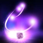 Stuart_Wilde_Purple_Rose 02