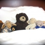 Stuart_Wilde_teddy_bears