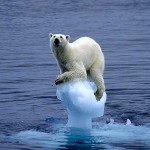 iceberg1DM0404_468x670