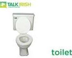 stuart_wilde_irish_toilet