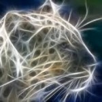 images-3