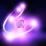 SW_New Rose01