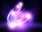 SW_New-Rose011
