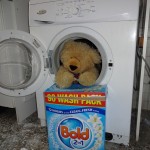 2 teddy