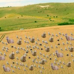 SW_field 3