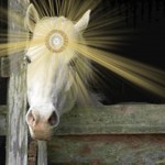 SW_horse