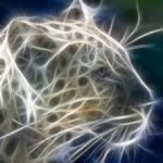 mystical cat leopard