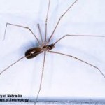 images-2