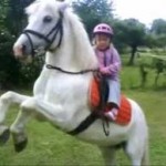 images-5
