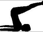sw_pflug_schwarz