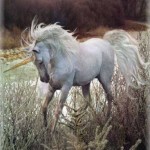 unicorn8