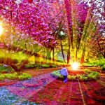 Stuartt Wilde.com Beautiful photo