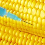 SW_Frankencorn