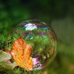 SW_earthbubble