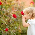 images-11