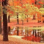 images-19