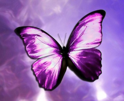 The Purple Light, Absolution, & Transcending Your Karma