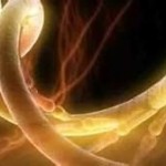 fractal tubes