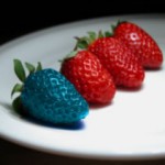 gm-foods