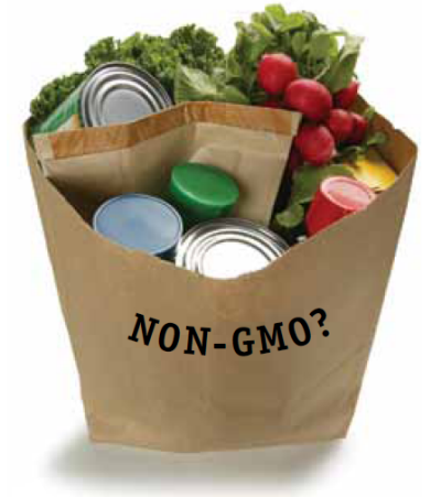 GMO Foods to Avoid