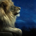 The Lion of Judah