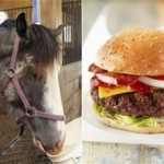 Stuart_Wilde_Horse Burger