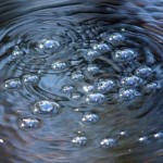 gas bubbles