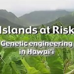gmoHawaii