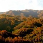north-carolina
