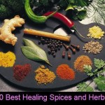 10 Best Healing Spices