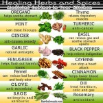 Healing Herbs & Spices