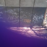 IMAG0128(2)